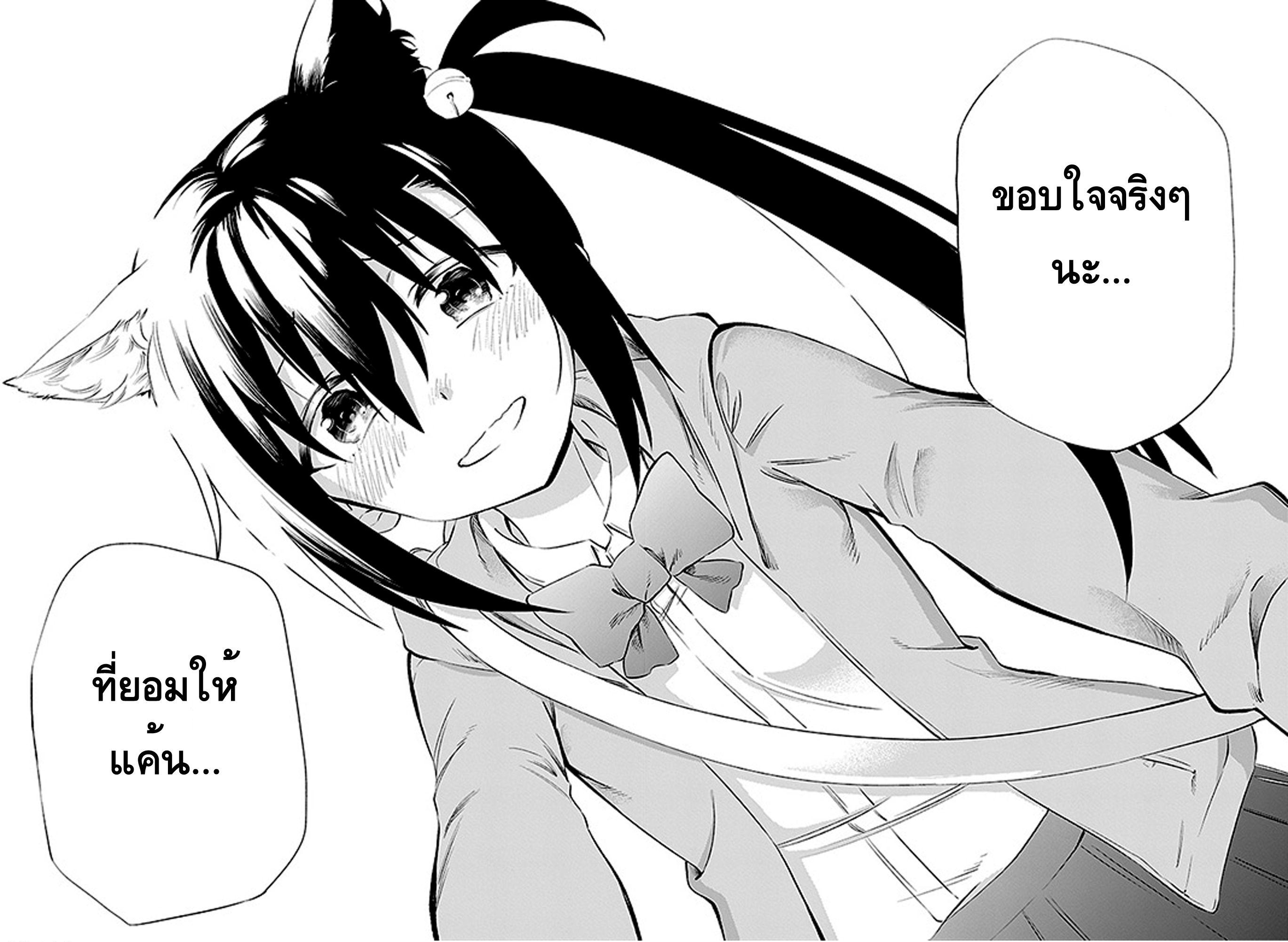 Urami Koi, Koi, Urami Koi 3-การตอบแทนบุญคุณของแมว