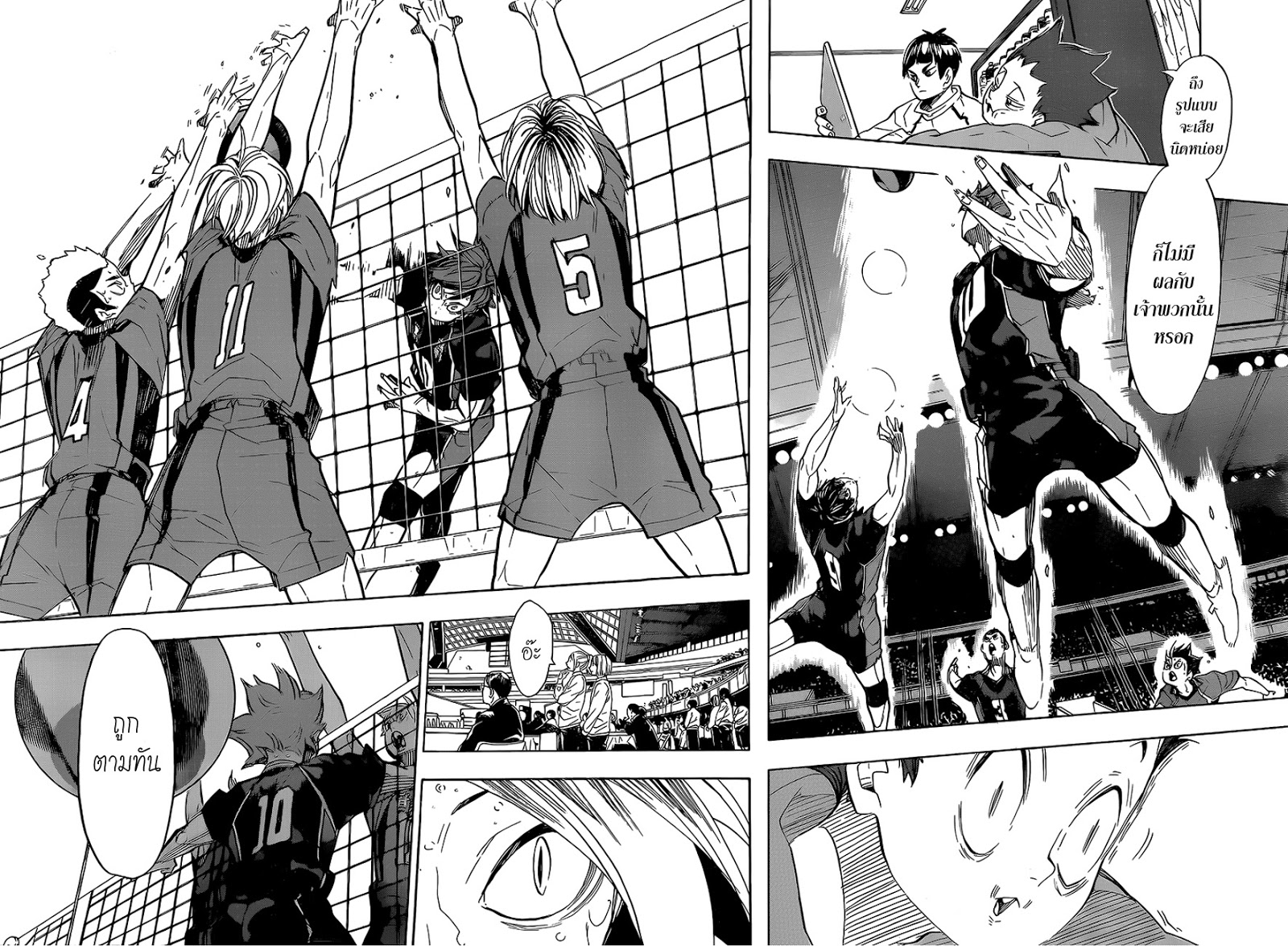 Haikyuu!! 310-กรงนก