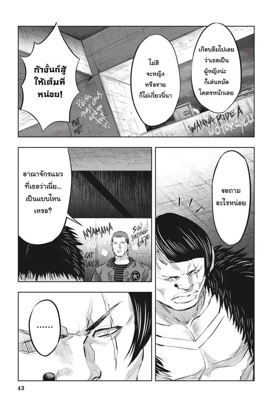 Nyankees 8-วิถีชีวิตของแมว