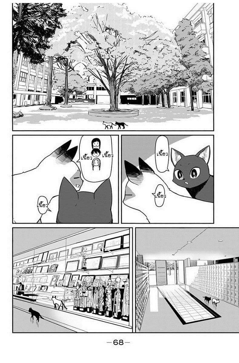 Flying Witch 33-ถึงแม้แมวจะมาก็จะหยุดพักหลังกินข้าวเที่ยง