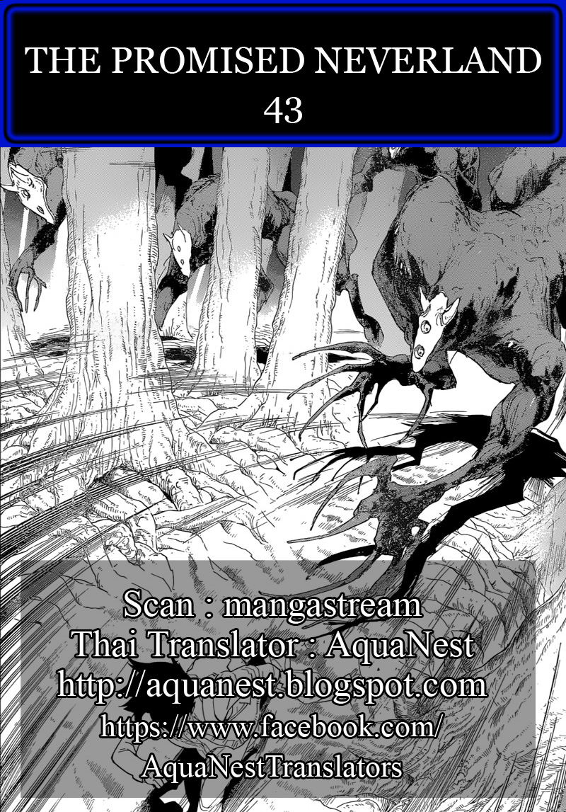 The Promised Neverland 43-81194