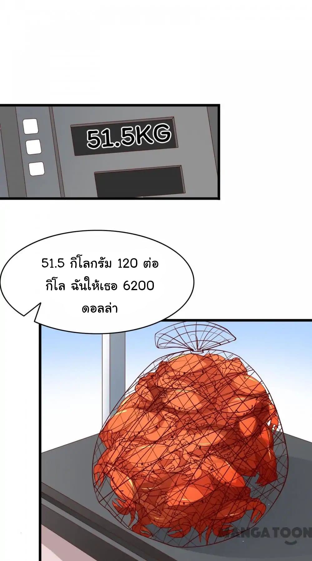 Almight Network 7-7