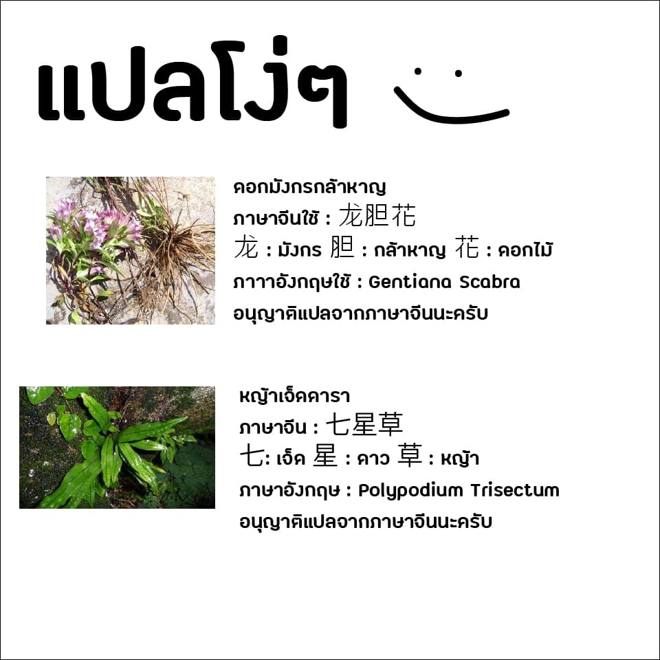 Feng Qi Cang Lan สายลมแห่งชางหลัน 4-4