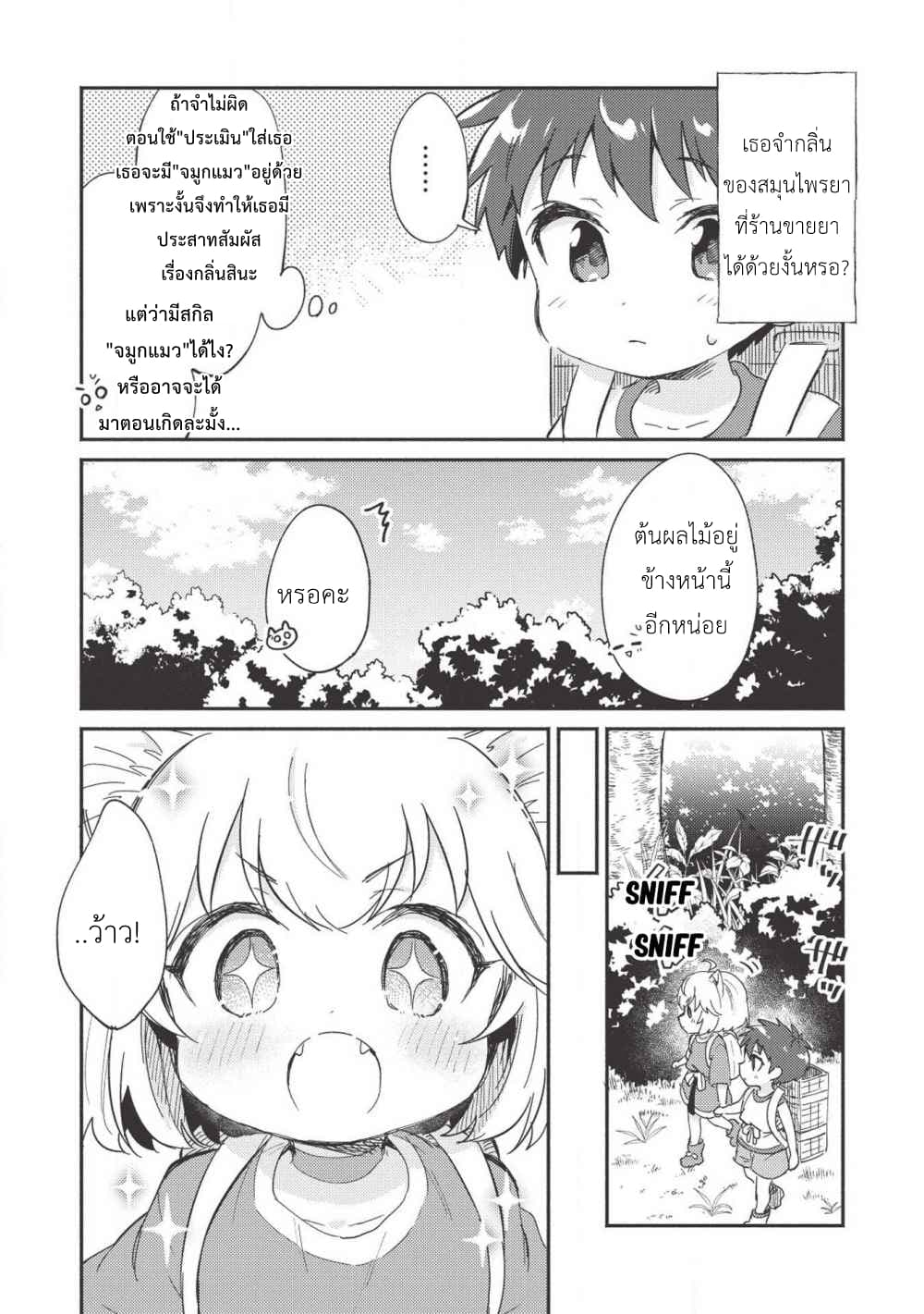 Kojiin Tamer 6-6