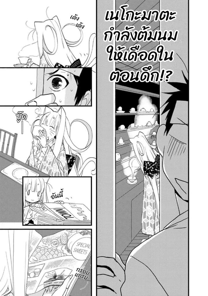 Junkissa Neko 4-4