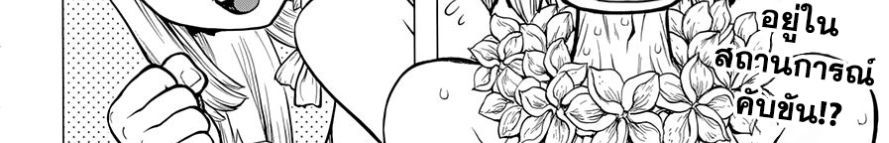 Dr.Stone 120-Top Secret