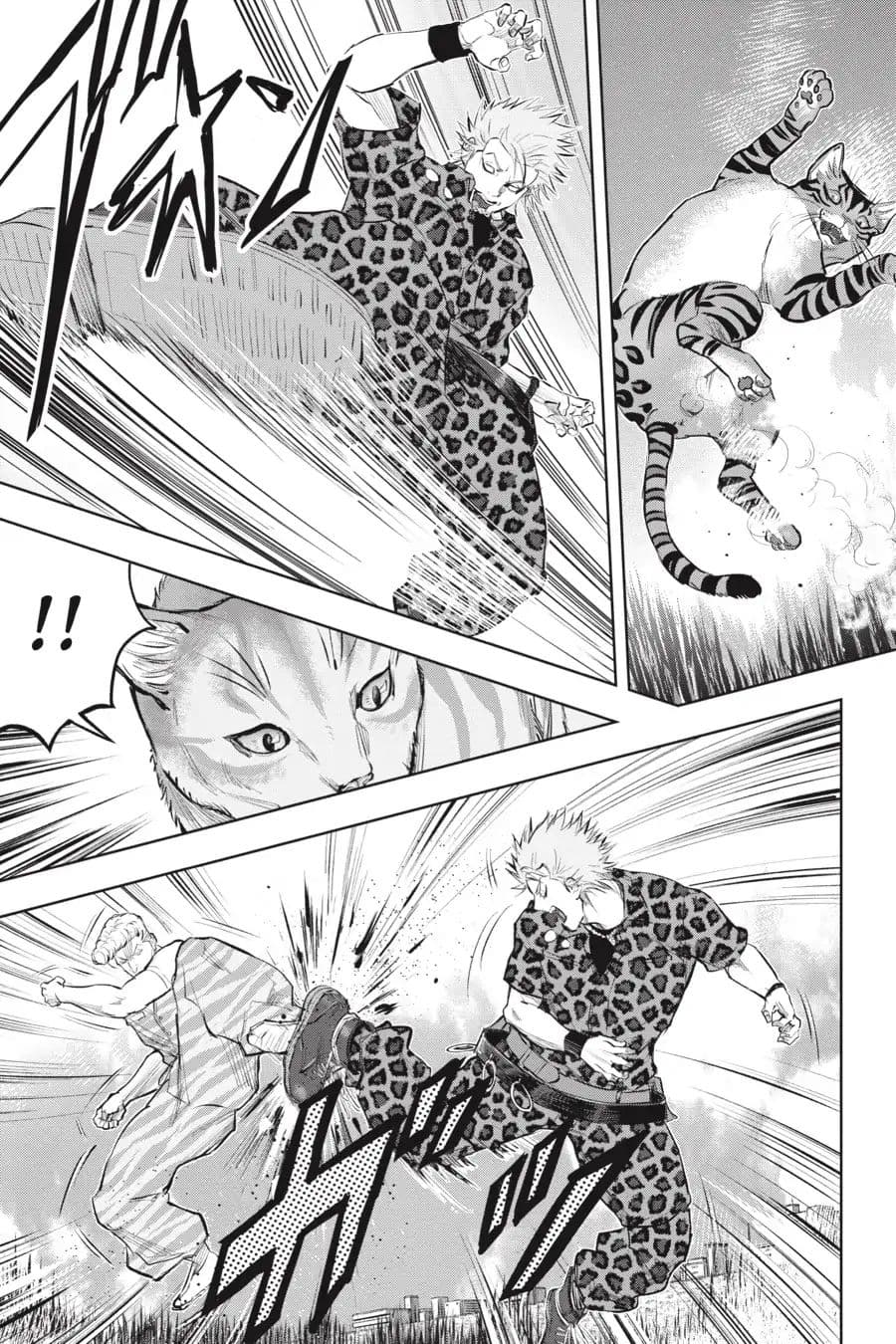 Nyankees 13-อ้วกก้อนขน