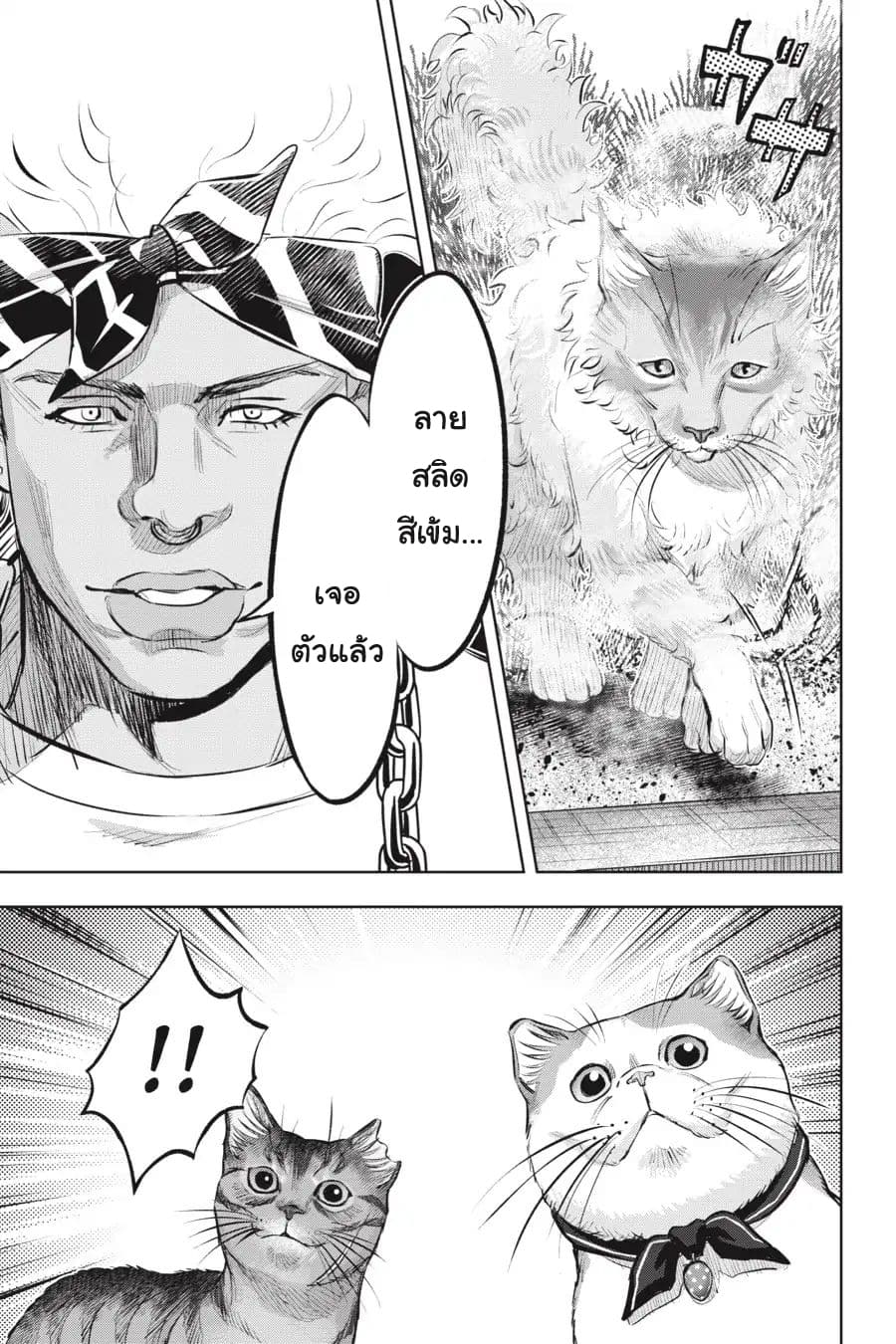 Nyankees 13-อ้วกก้อนขน