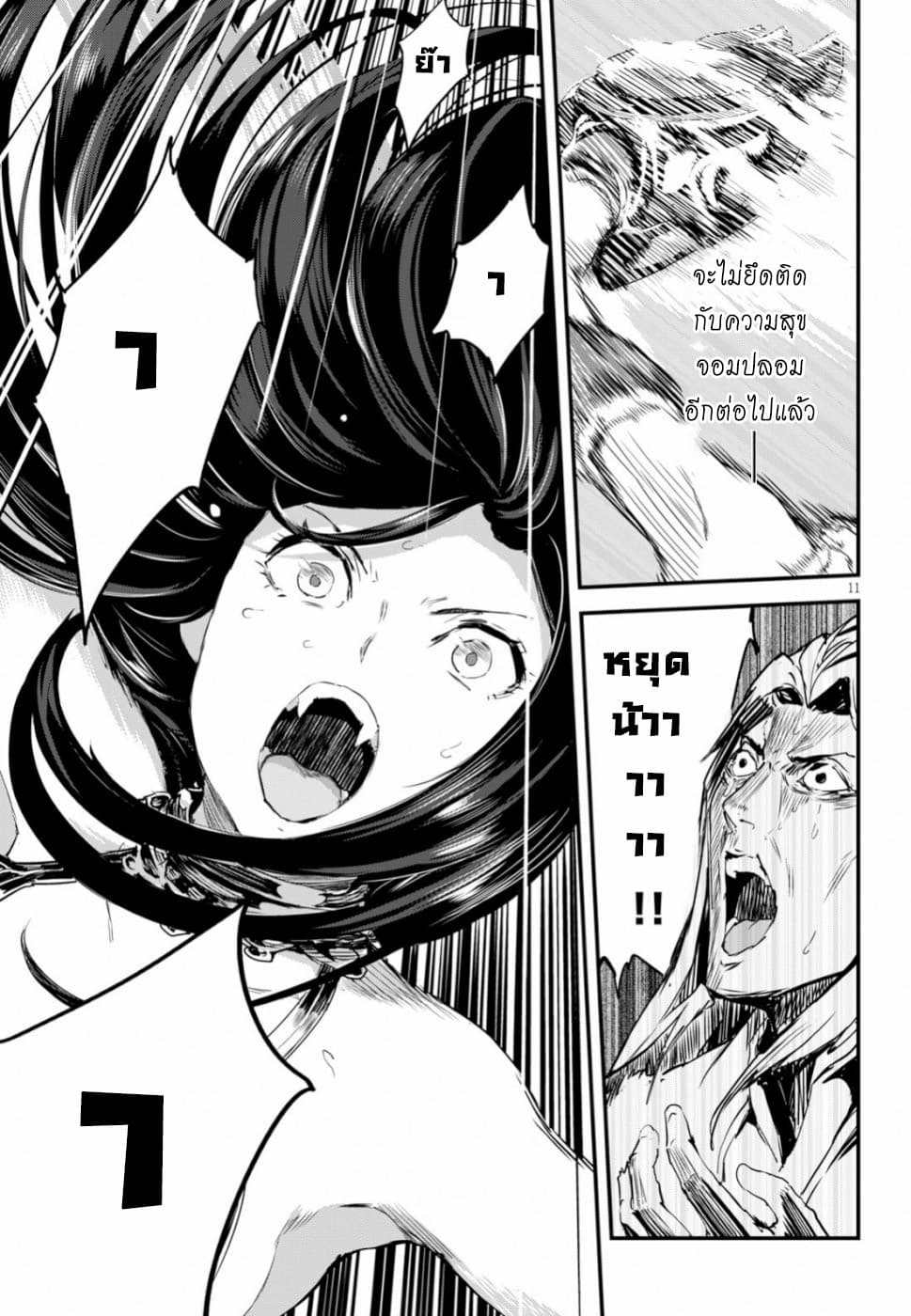 Alcafus 13-สัญญาณ
