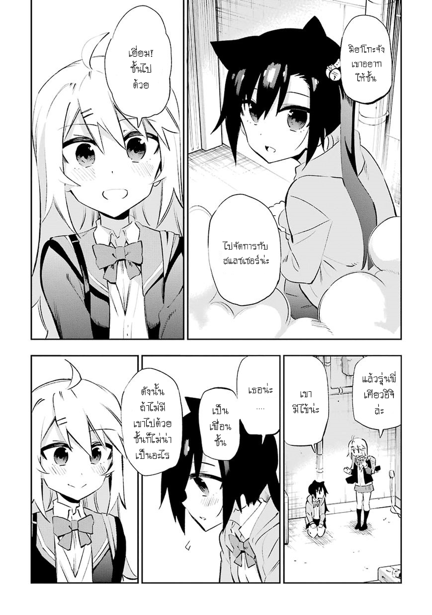 Urami Koi, Koi, Urami Koi 25-การประลองระหว่างวัวและแมว