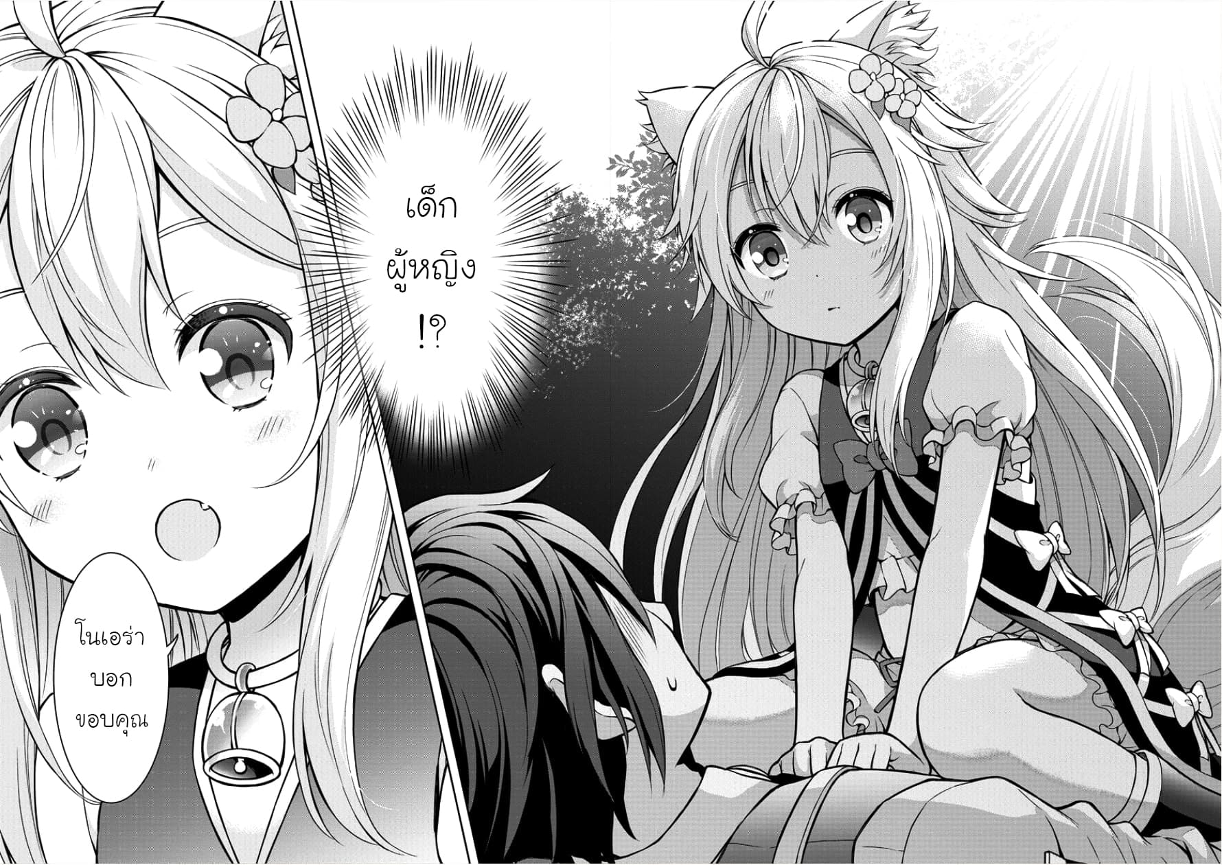Cheat Kusushi no Slow Life: Isekai ni Tsukurou Drugstore 1-โนเอร่า