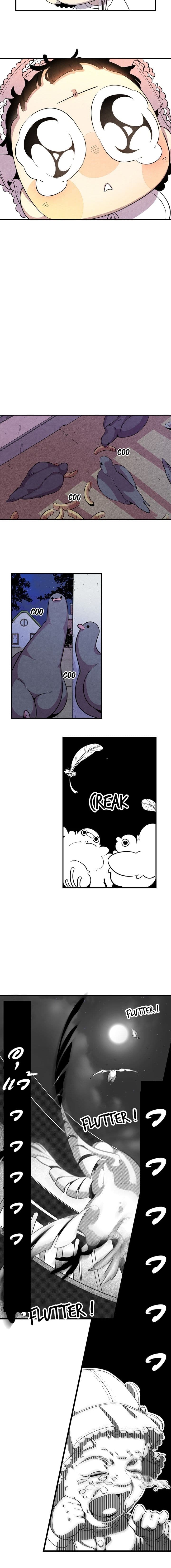 Metamorphosis 2-2