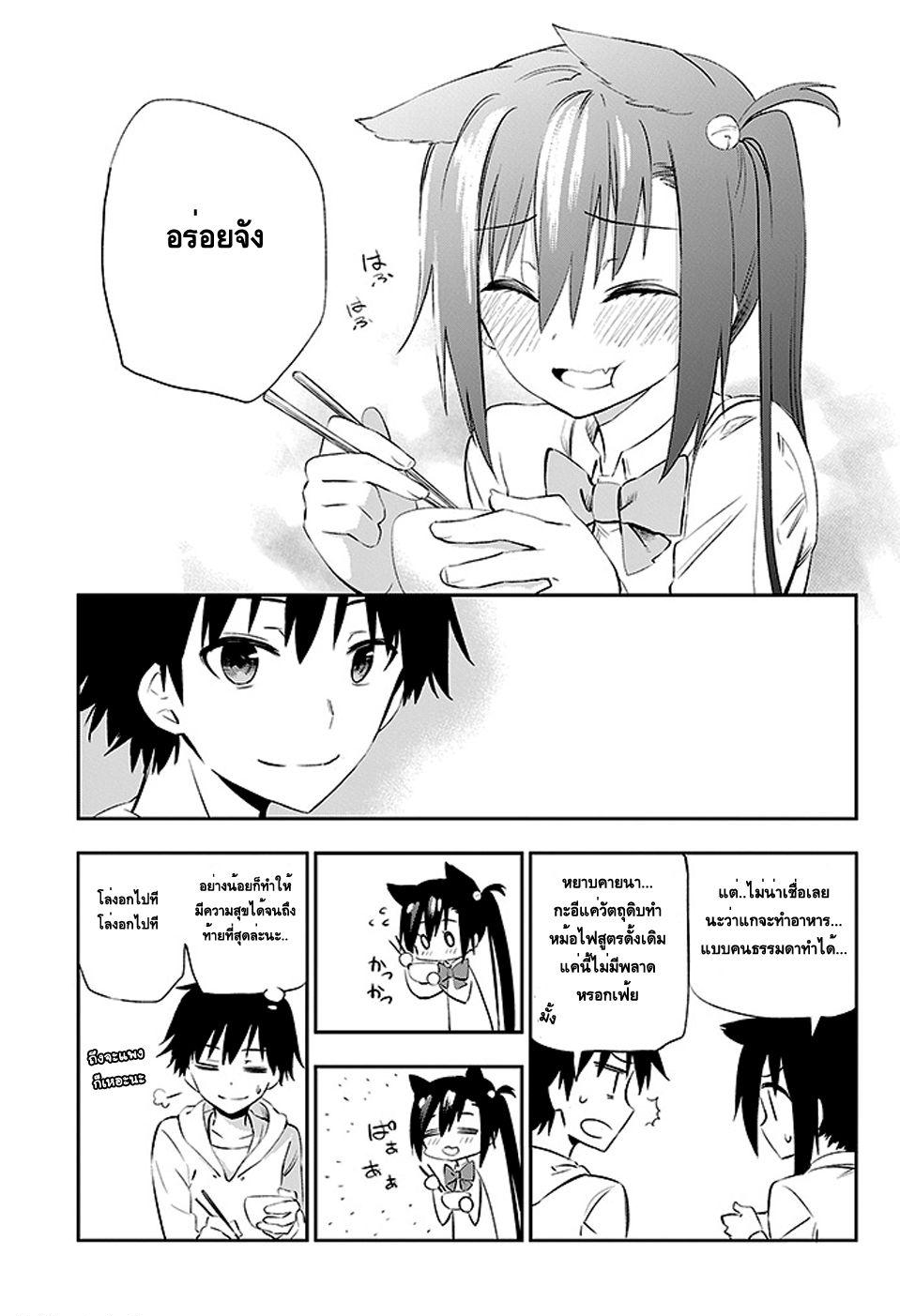 Urami Koi, Koi, Urami Koi 3-การตอบแทนบุญคุณของแมว