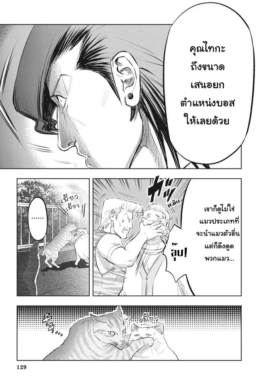Nyankees 15-แมวสองพี่น้อง