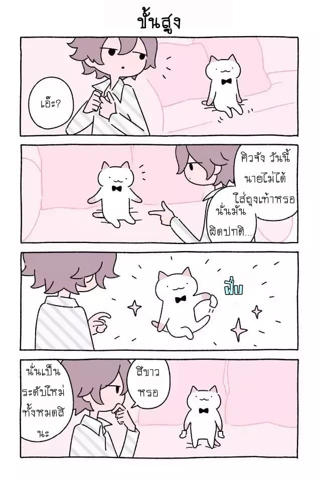 Wonder Cat Kyuu-chan คิวจัง แมวมหัศจรรย์ 7-7