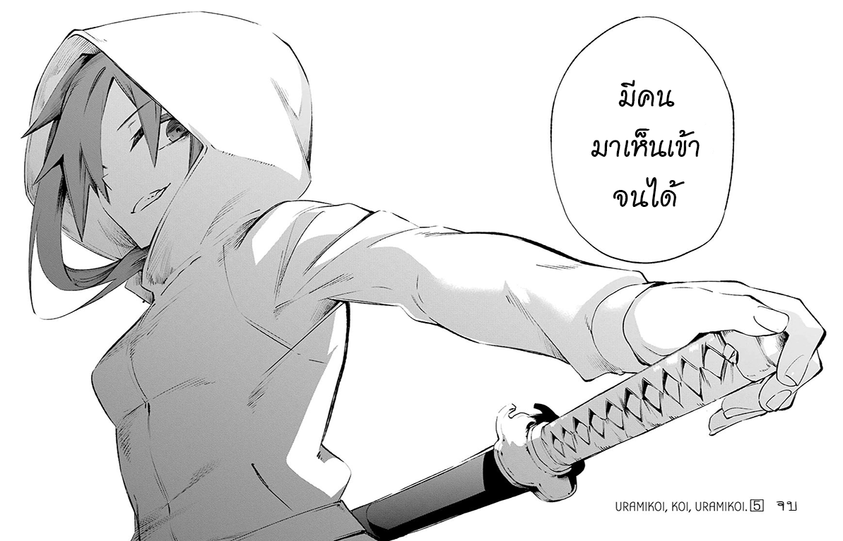 Urami Koi, Koi, Urami Koi 24-การประลองระหว่างวัวและแมว