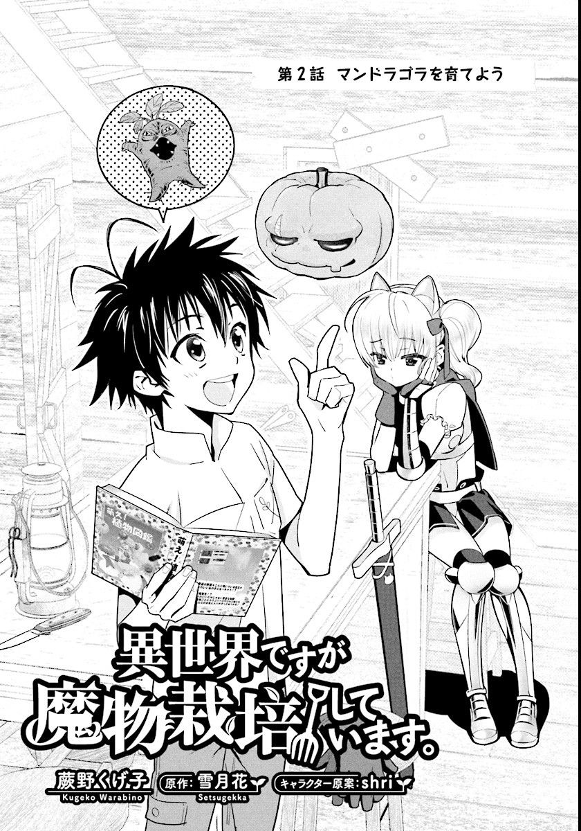 Isekai desu ga Mamono Saibai shiteimasu. 2-เลี้ยงแมนเดรก