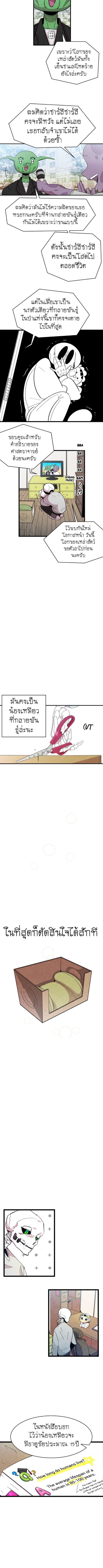 Metamorphosis 3-3