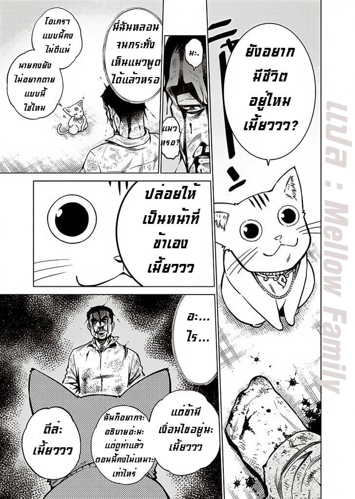 Dolkara 1-1