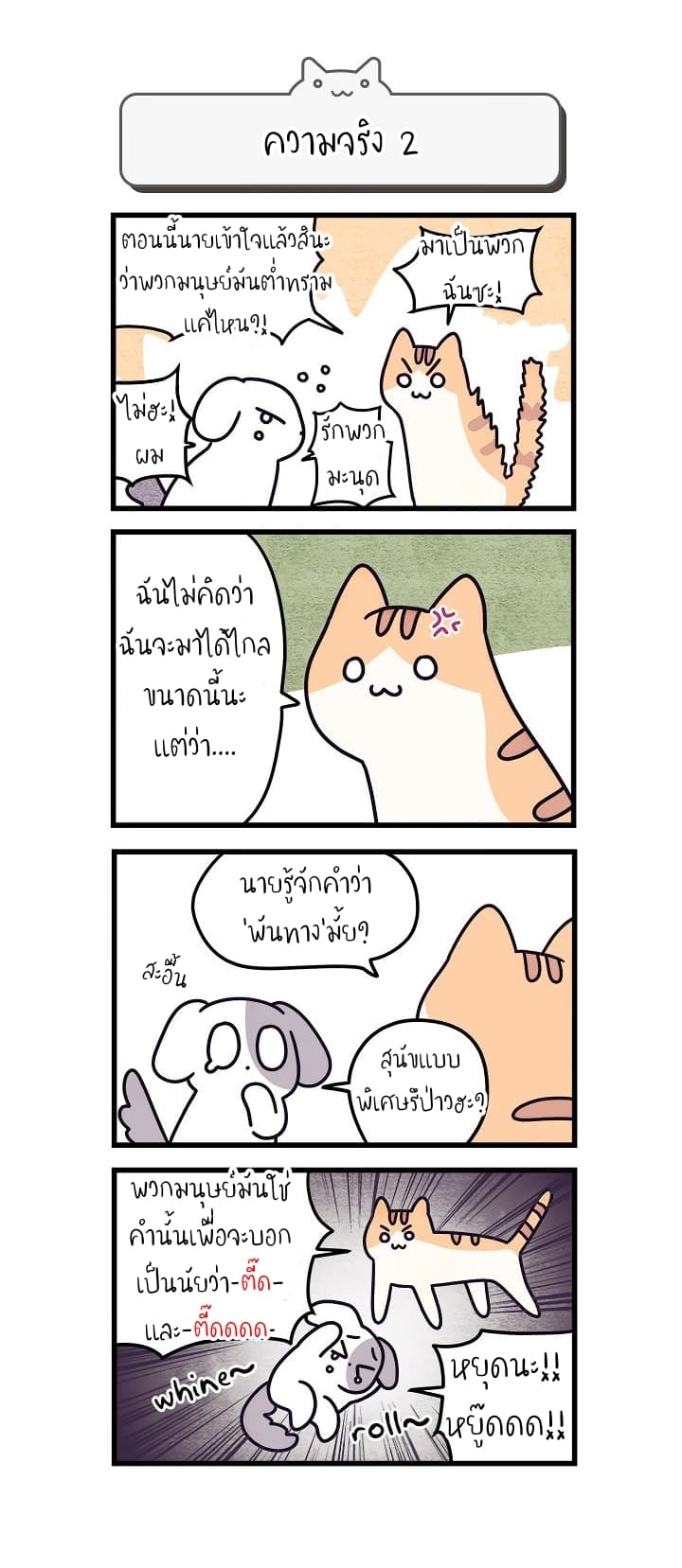 Cats Own The World 2-2