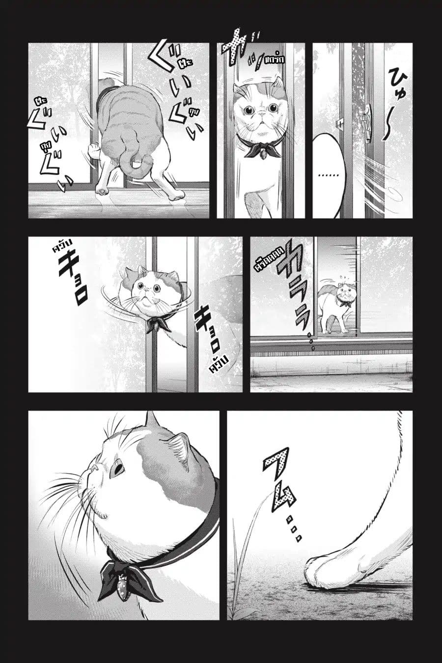 Nyankees 10-ลูกแมวหลงทาง