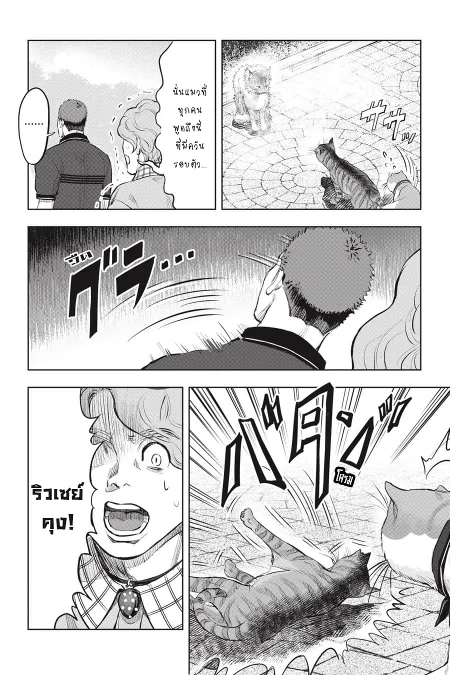Nyankees 13-อ้วกก้อนขน