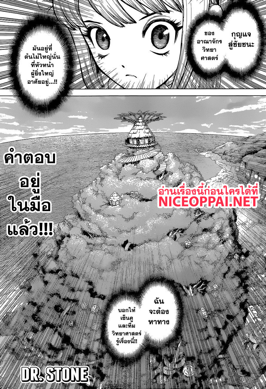 Dr.Stone 113-วิทยาศาสตร์การถอดรหัส