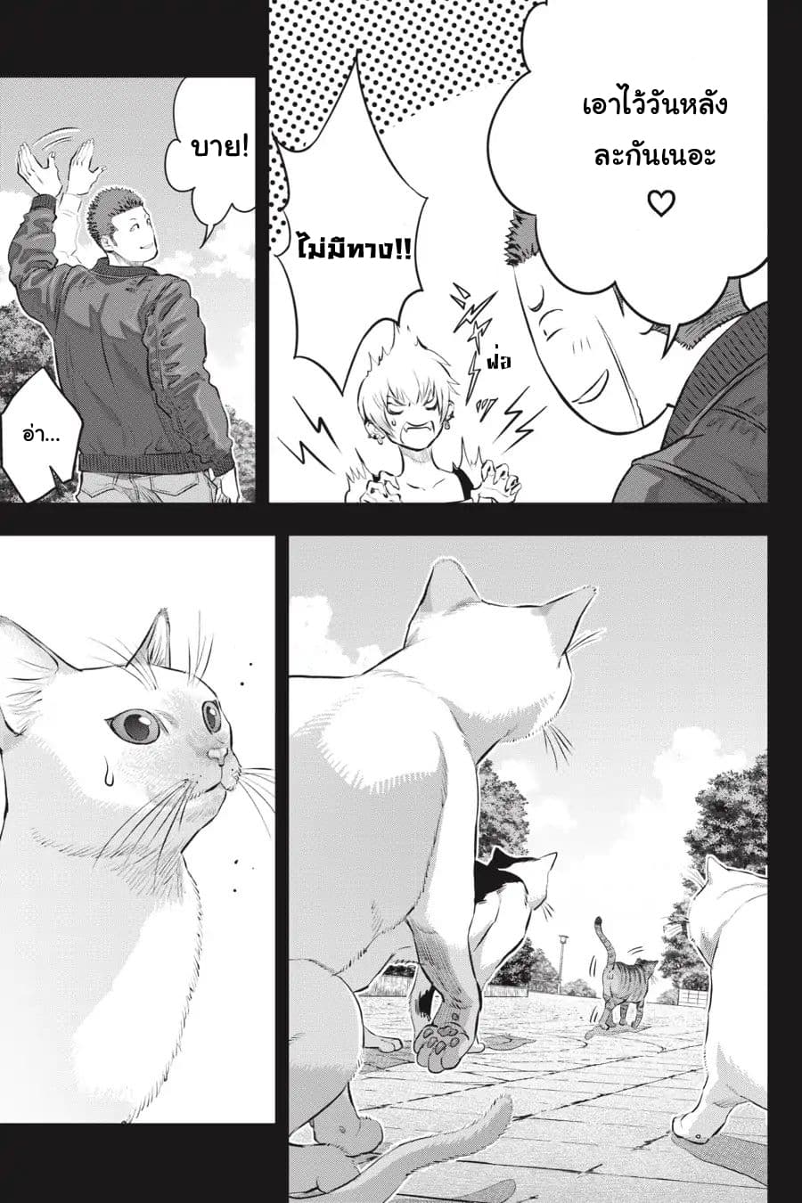 Nyankees 2-บอสแห่งเมืองเนโกะนากิ