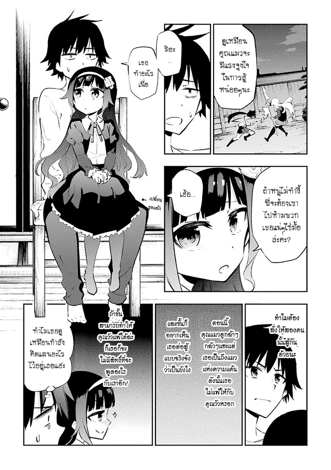 Urami Koi, Koi, Urami Koi 24-การประลองระหว่างวัวและแมว