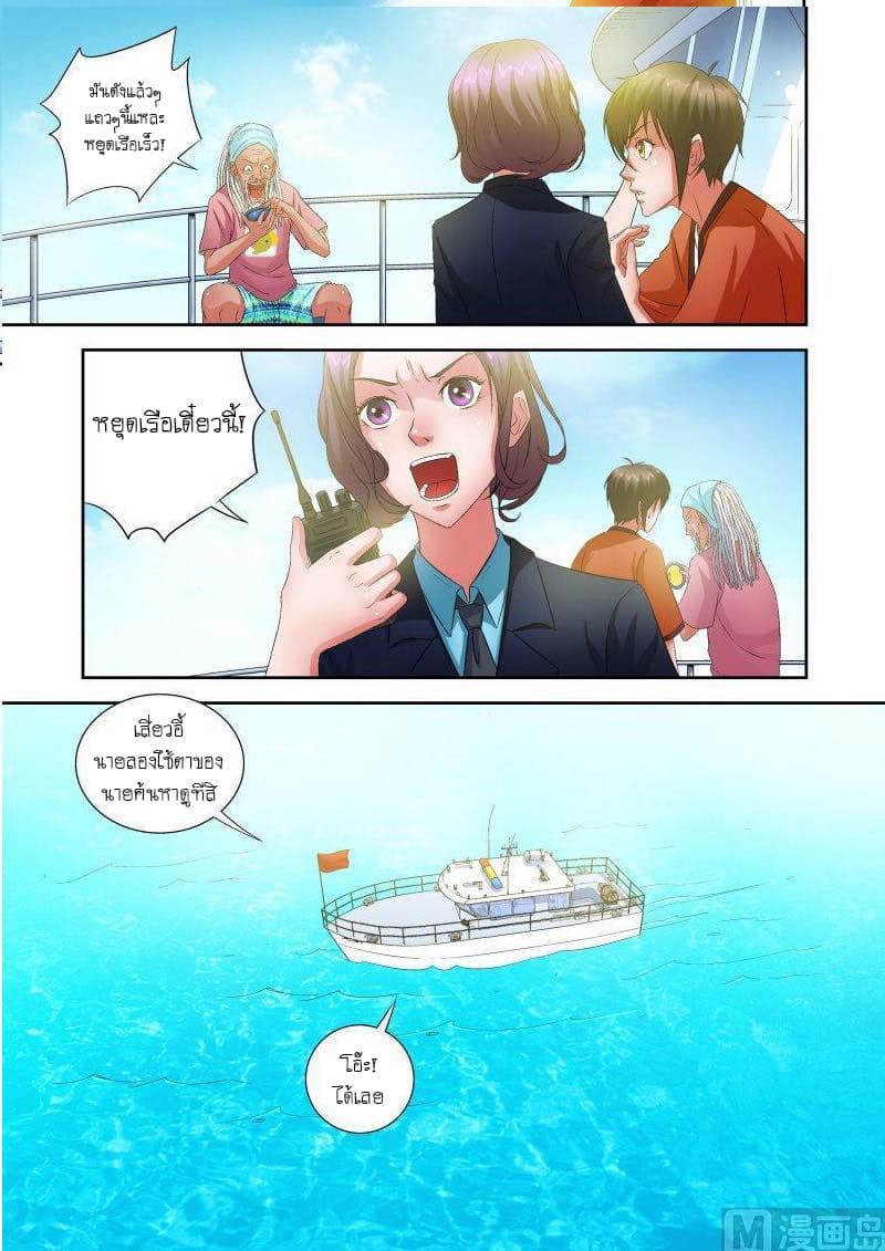 Shinto Partner 3-3