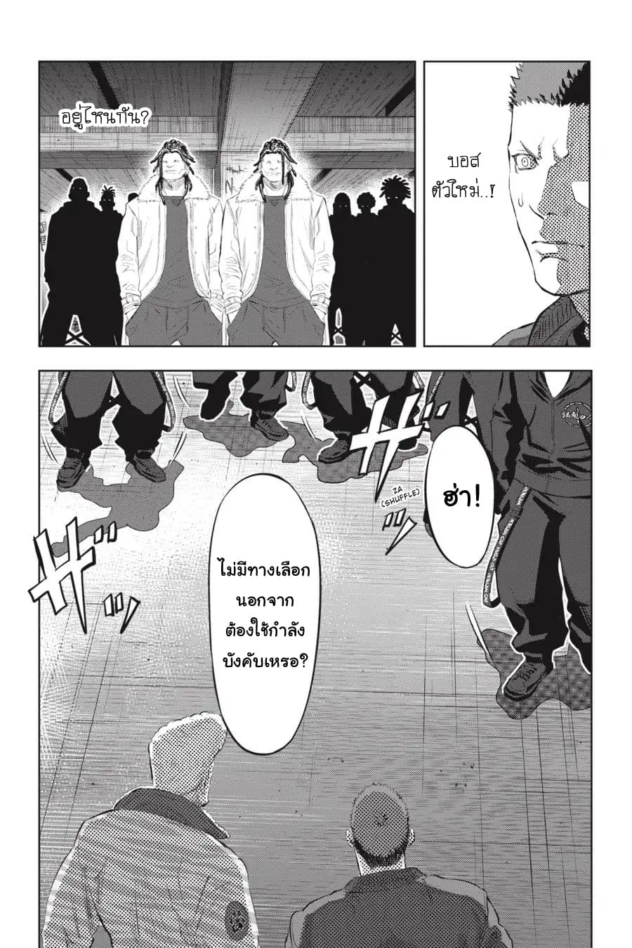 Nyankees 6-แมวสามสี