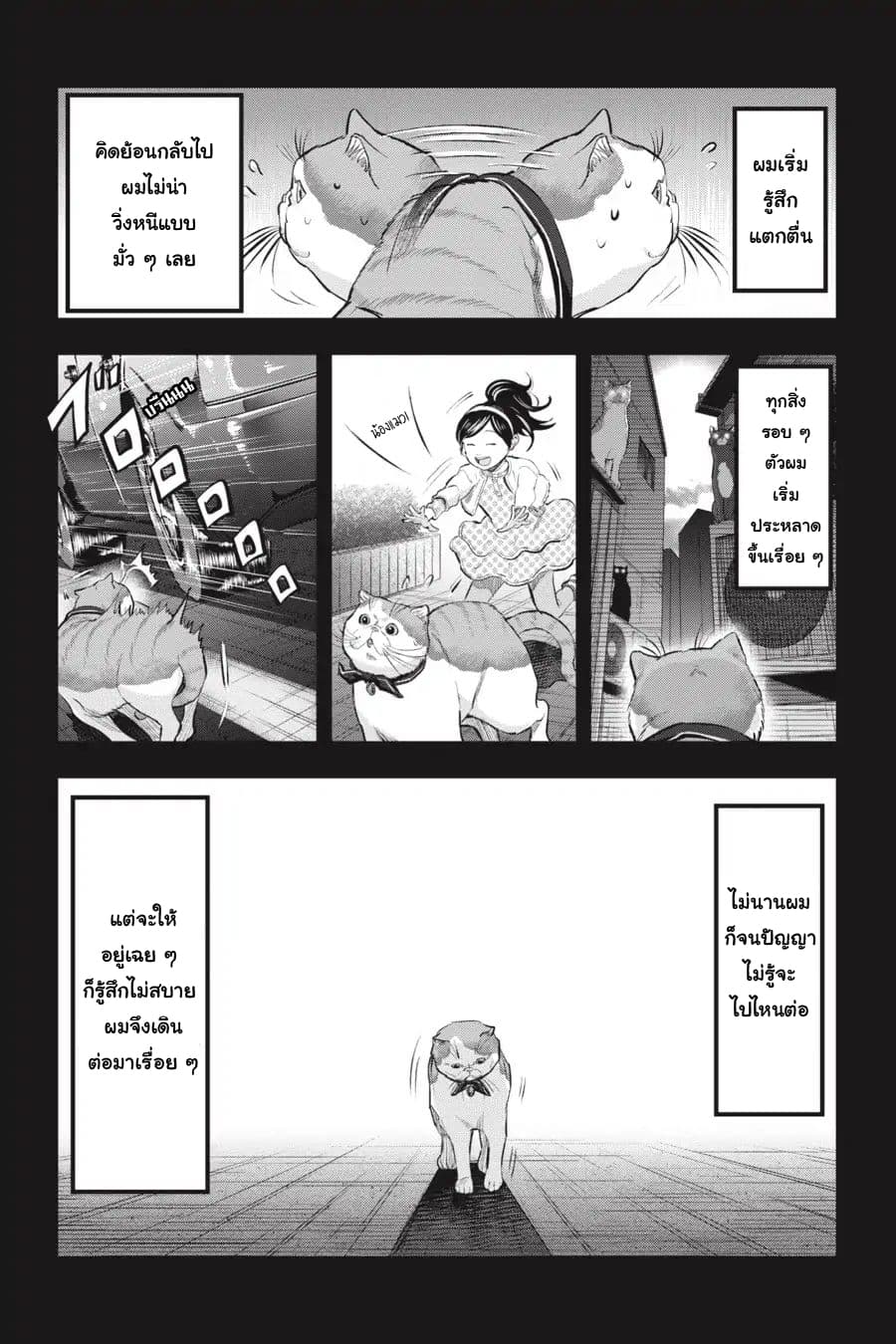 Nyankees 10-ลูกแมวหลงทาง