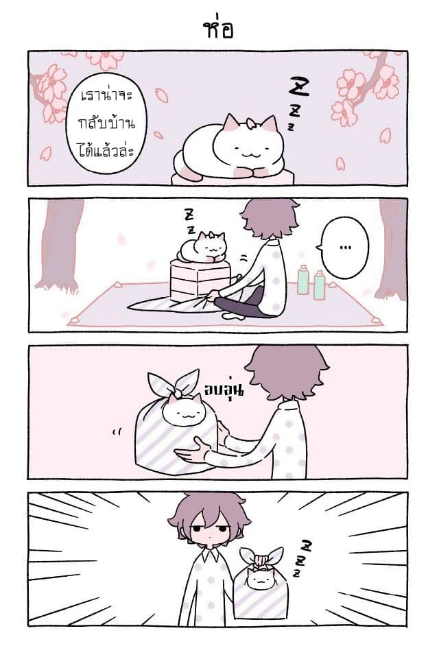 Wonder Cat Kyuu-chan คิวจัง แมวมหัศจรรย์ 4-4