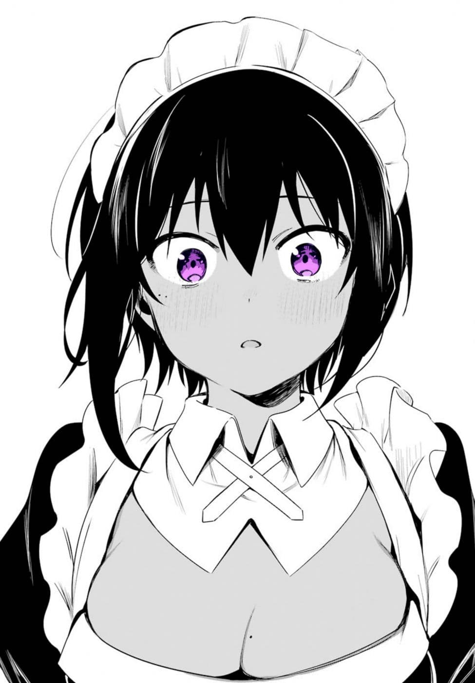 Saikin Yatotta Maid ga Ayashii 2-ชื่อ