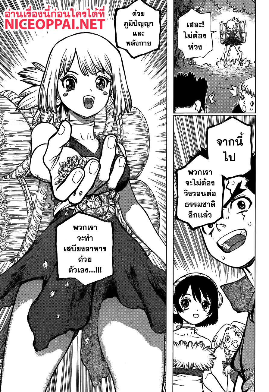 Dr.Stone 91-ถ้าไร้ซึ่งขนมปัง งั้นก็ทำมันจากข้าวสาลี