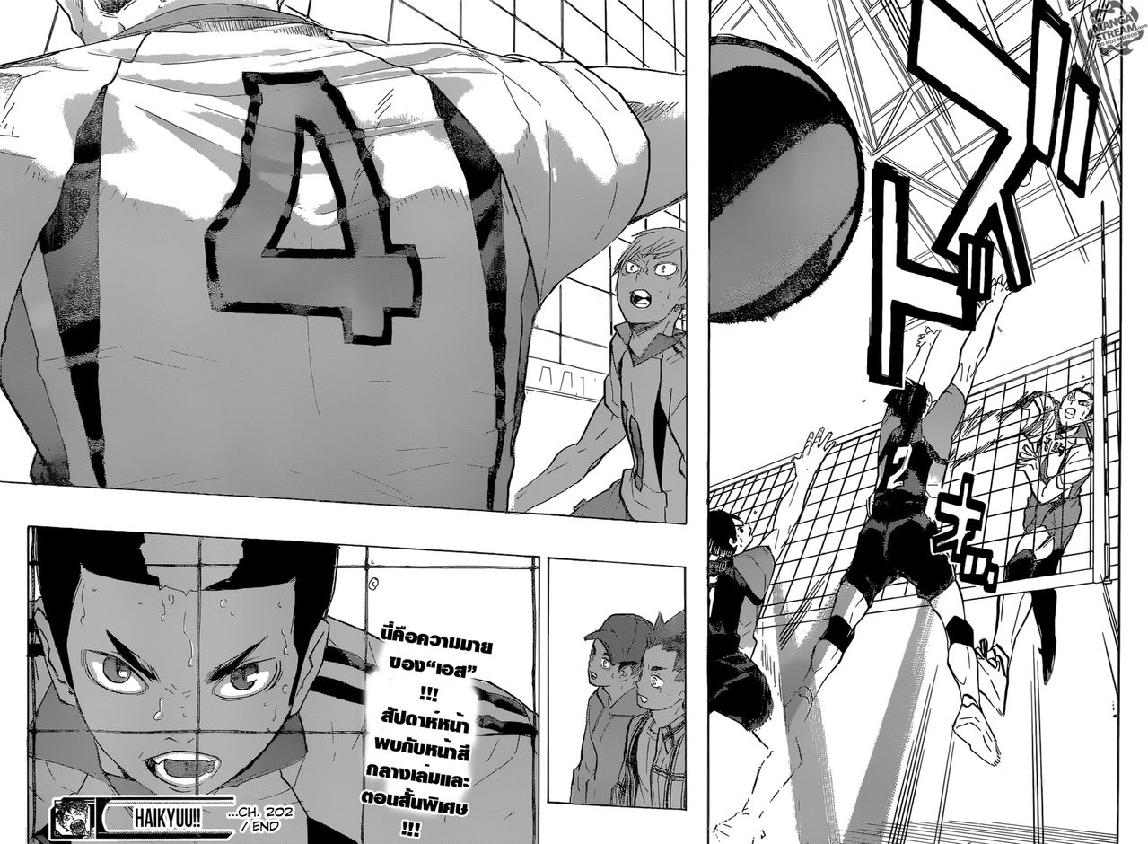 Haikyuu!! 202-เอสของเนโกมะ