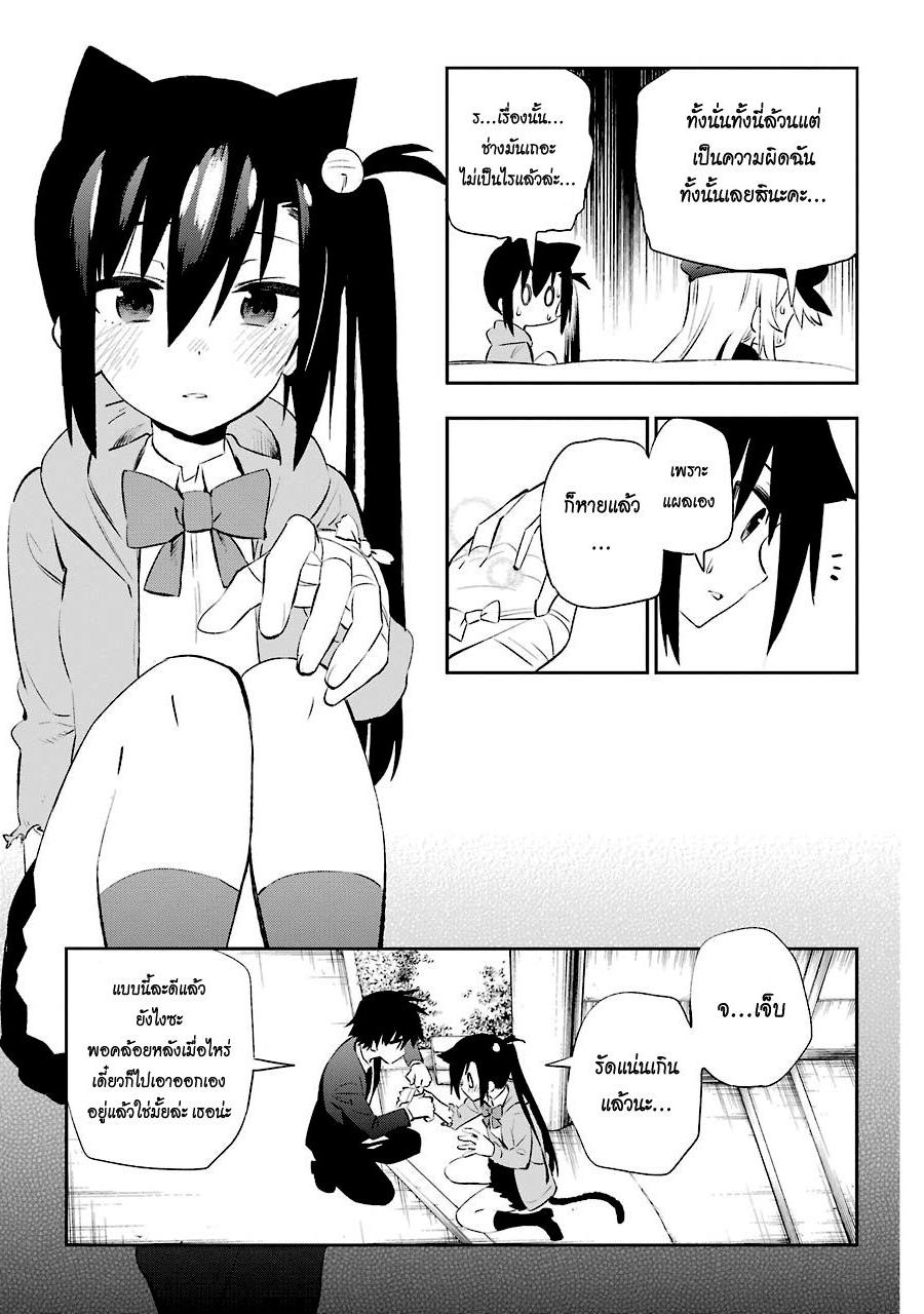 Urami Koi, Koi, Urami Koi 9-แมวน่ะไม่รู้จักหัวใจที่ว่านั้น