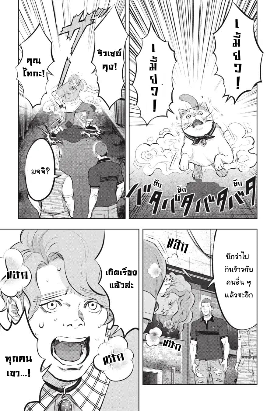 Nyankees 11-แมวน่าสงสัย
