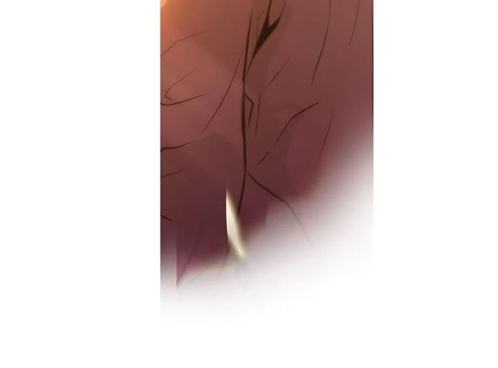 Promised Orchid สัญญาแดนกล้วยไม้ 3-3
