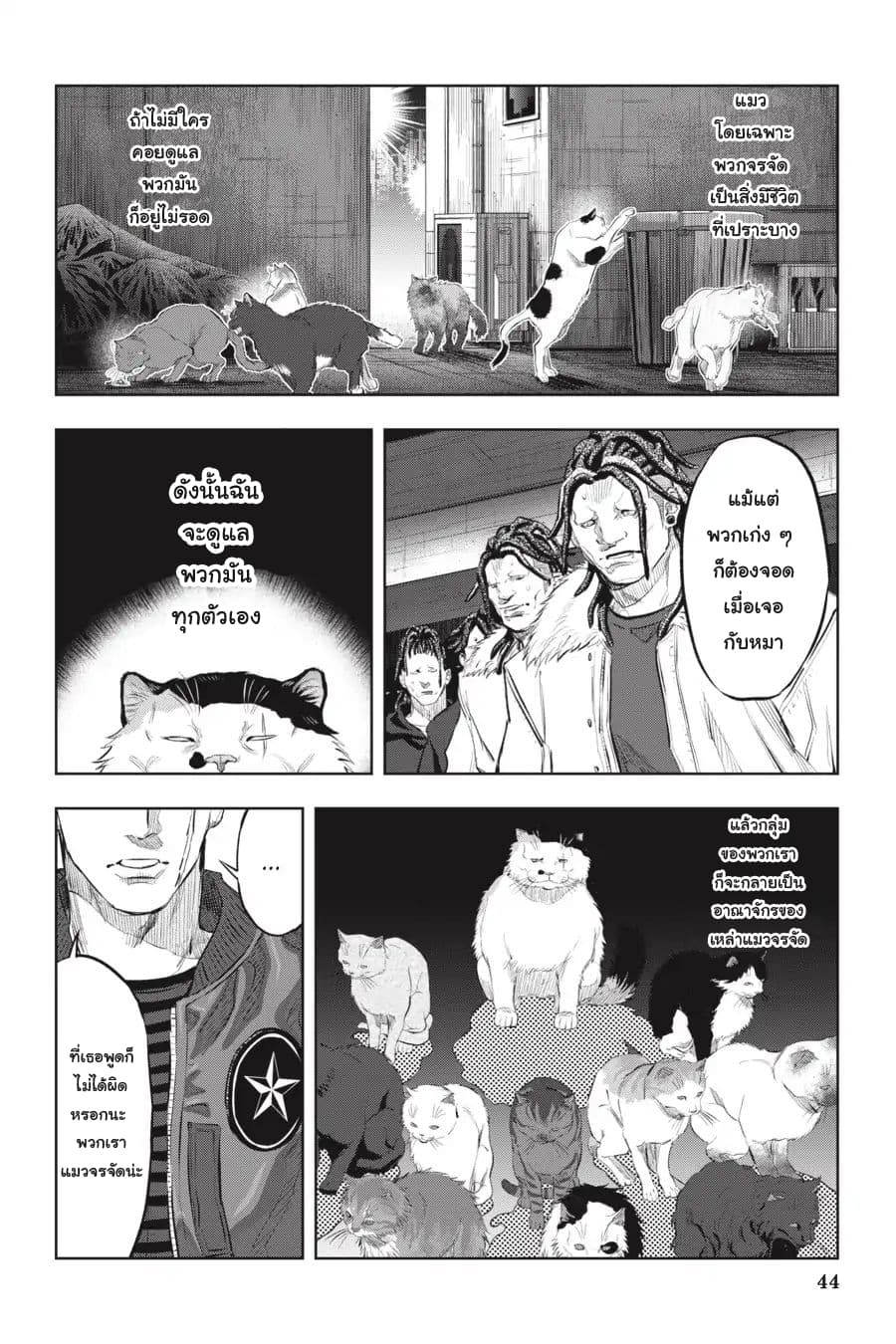 Nyankees 8-วิถีชีวิตของแมว