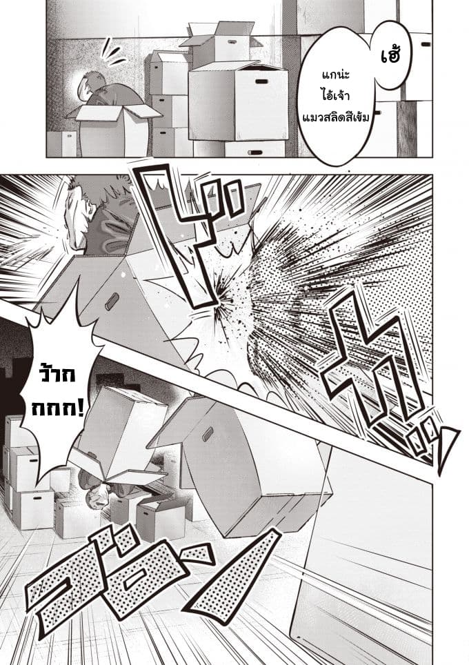 Nyankees 2-บอสแห่งเมืองเนโกะนากิ