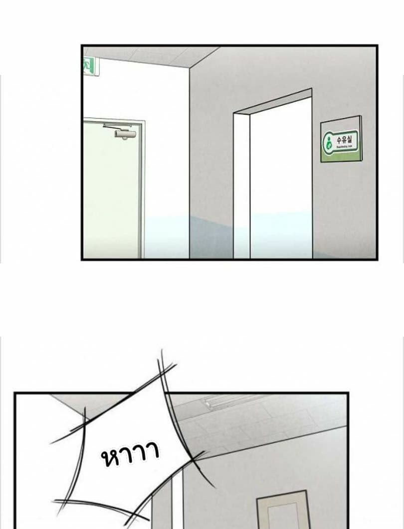 Return Survival 6-6