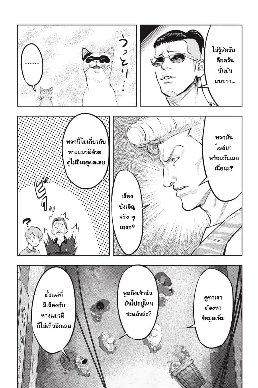 Nyankees 11-แมวน่าสงสัย