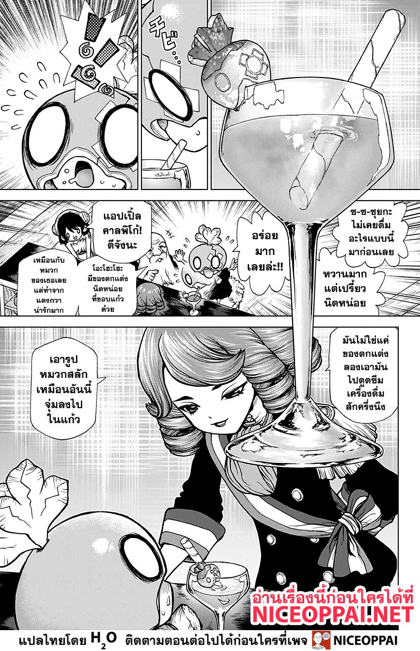 Dr.Stone 145-BAR FRANÇOIS