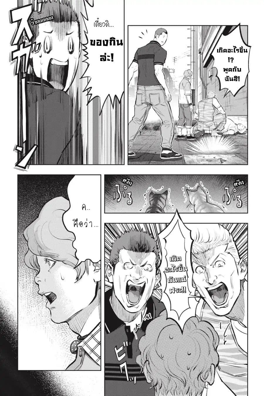 Nyankees 11-แมวน่าสงสัย
