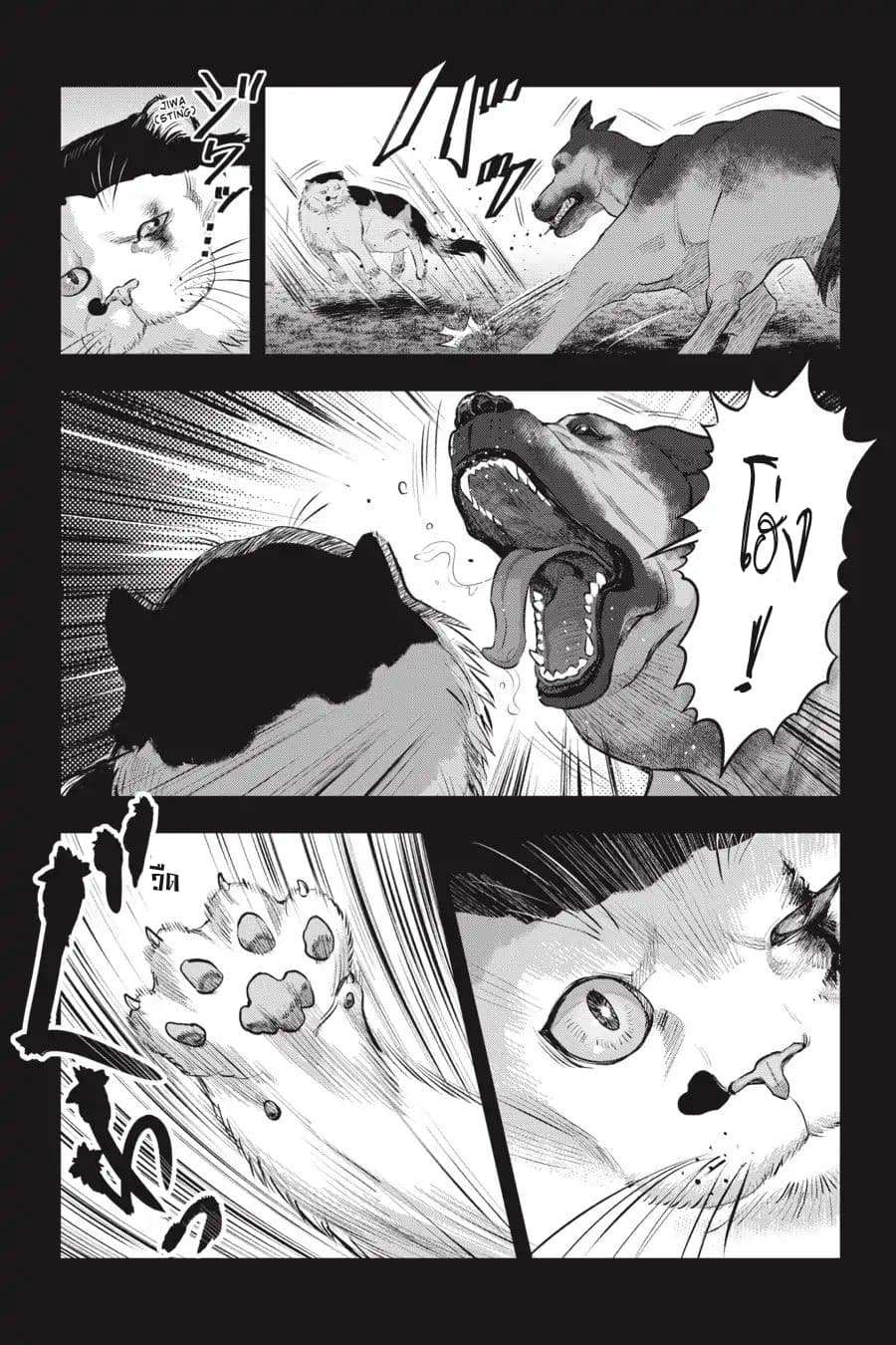 Nyankees 7-หญิงแกร่ง