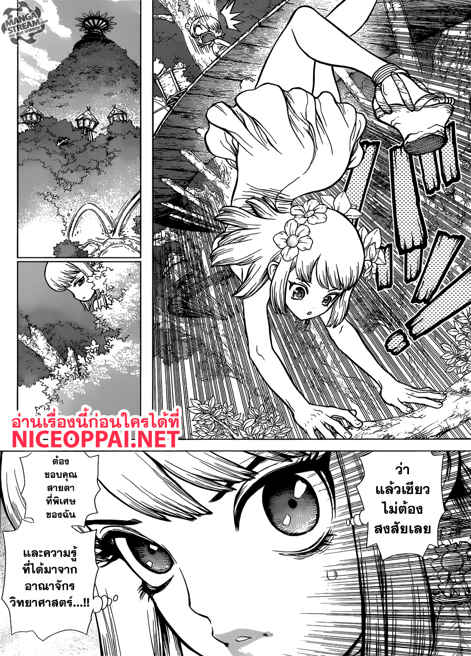 Dr.Stone 112-3-D แชมเปี้ยน