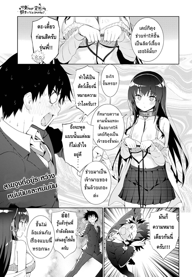 Kawaiikereba Hentai demo Suki ni Natte Kuremasu ka? 6-6