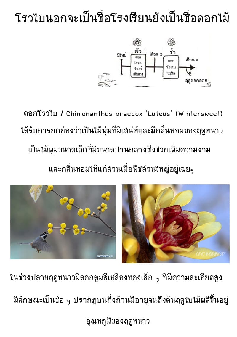 Akebi-chan no Sailor Fuku 11-หอพักจันทร์เต็มดวง ?