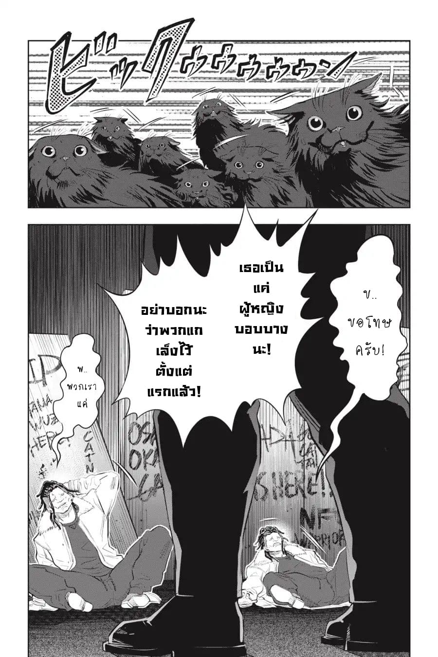 Nyankees 6-แมวสามสี